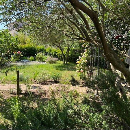 Studio Apartment Elena Zadar Luaran gambar